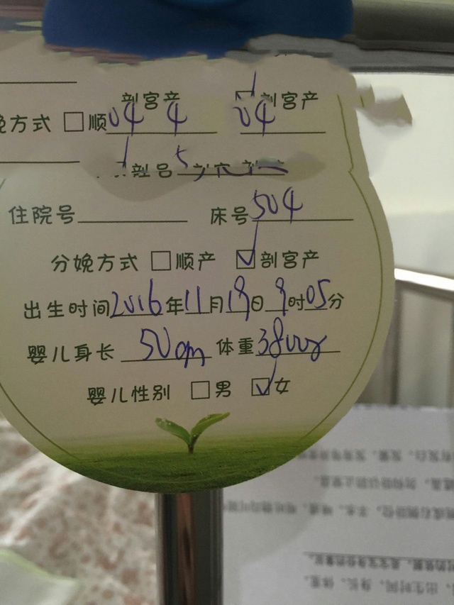 三个女人的美满家庭：同性恋人借助第三代试管婴儿迎来小天使