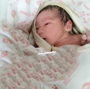 恭喜杭州谢先生喜得一子