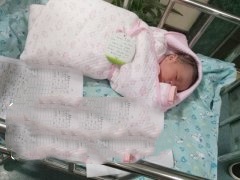 广东Z先生大胖小子顺利诞生