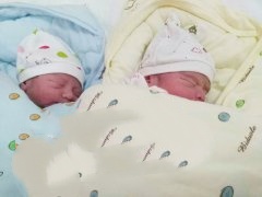 广东N先生喜获双胞胎男宝