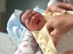 死精症成功助孕